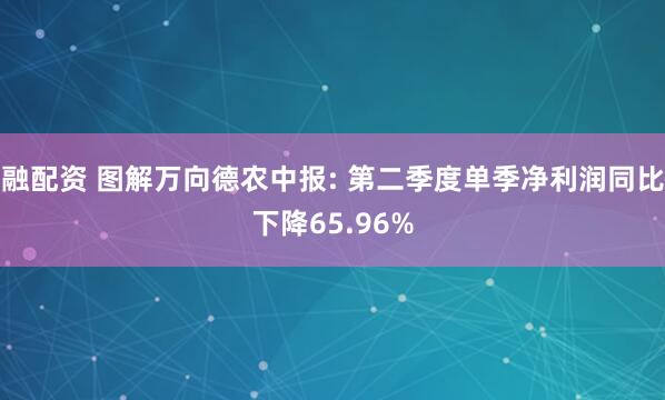 融配资 图解万向德农中报: 第二季度单季净利润同比下降65.96%