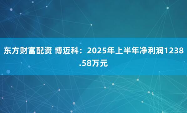 东方财富配资 博迈科：2025年上半年净利润1238.58万元