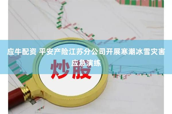 应牛配资 平安产险江苏分公司开展寒潮冰雪灾害应急演练